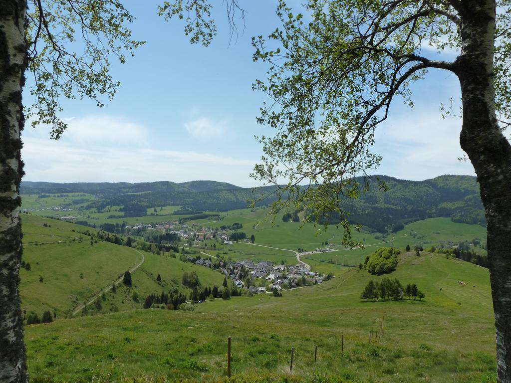 Wohnpark Schwarzwaldblick Bernau Apartment Luaran gambar